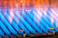 Clowance Wood gas fired boilers